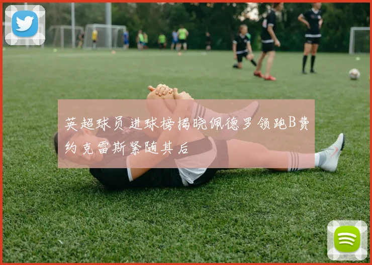 英超球员进球榜揭晓佩德罗领跑B费约克雷斯紧随其后