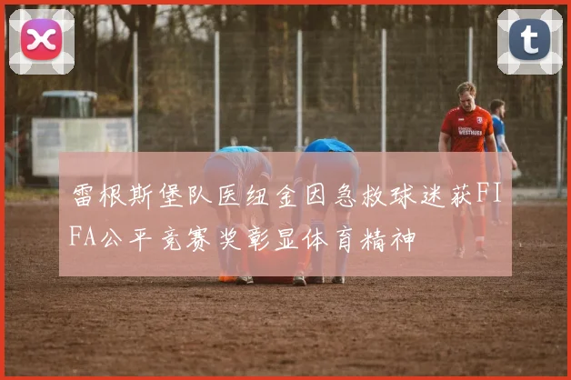 雷根斯堡队医纽金因急救球迷获FIFA公平竞赛奖彰显体育精神
