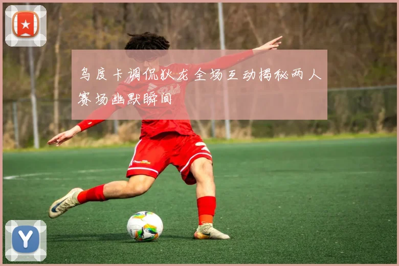 乌度卡调侃狄龙全场互动揭秘两人赛场幽默瞬间