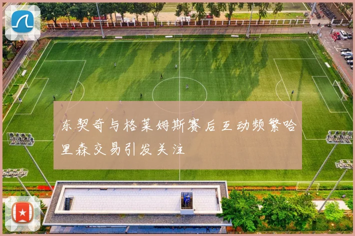 东契奇与格莱姆斯赛后互动频繁哈里森交易引发关注
